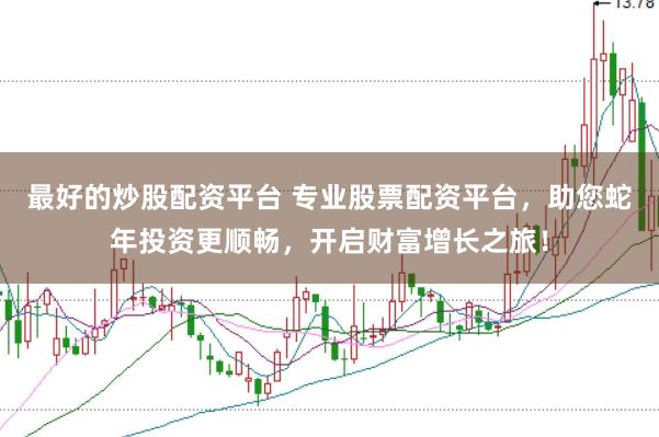 最好的炒股配资平台 专业股票配资平台，助您蛇年投资更顺畅，开启财富增长之旅！