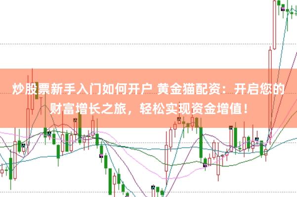 炒股票新手入门如何开户 黄金猫配资：开启您的财富增长之旅，轻松实现资金增值！