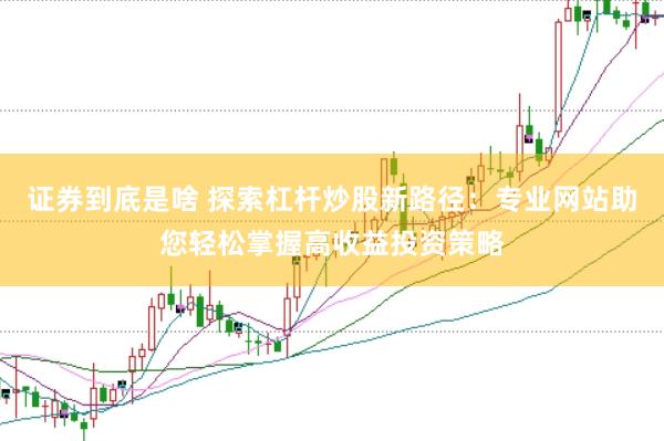 证券到底是啥 探索杠杆炒股新路径：专业网站助您轻松掌握高收益投资策略