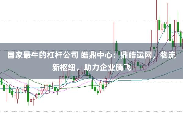 国家最牛的杠杆公司 皓鼎中心：鼎皓运网，物流新枢纽，助力企业腾飞