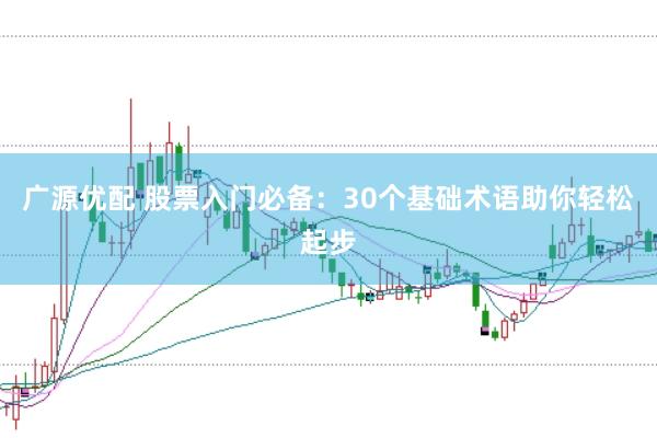 广源优配 股票入门必备：30个基础术语助你轻松起步
