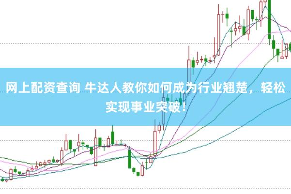 网上配资查询 牛达人教你如何成为行业翘楚，轻松实现事业突破！