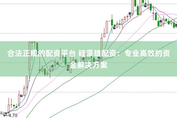 合法正规的配资平台 硅藻雄配资：专业高效的资金解决方案