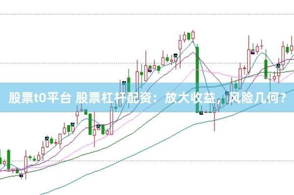 股票t0平台 股票杠杆配资：放大收益，风险几何？