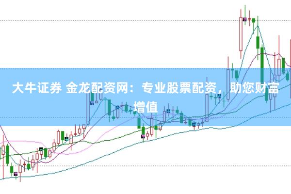 大牛证券 金龙配资网：专业股票配资，助您财富增值