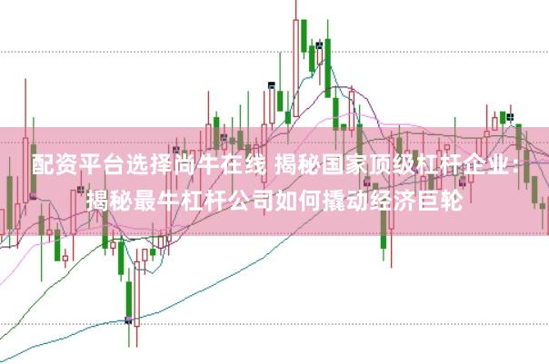 配资平台选择尚牛在线 揭秘国家顶级杠杆企业：揭秘最牛杠杆公司如何撬动经济巨轮
