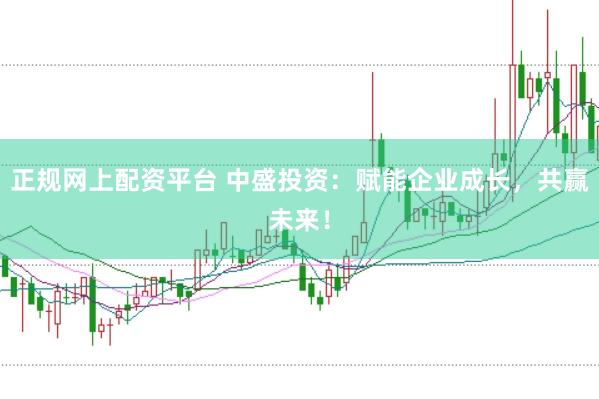 正规网上配资平台 中盛投资：赋能企业成长，共赢未来！