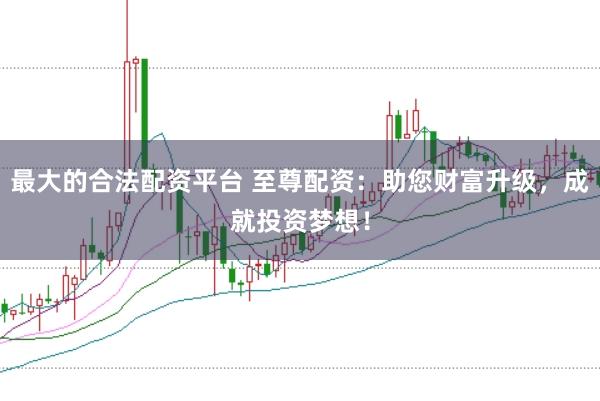 最大的合法配资平台 至尊配资：助您财富升级，成就投资梦想！