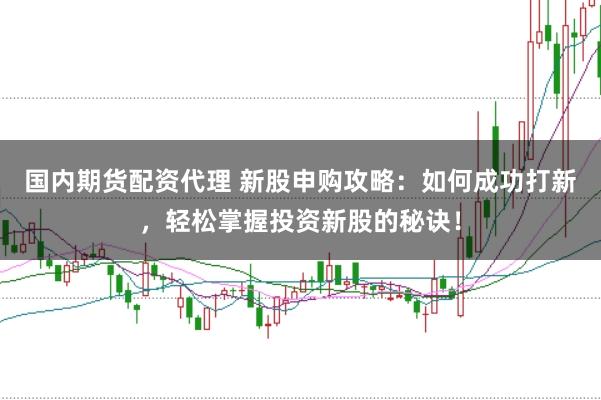 国内期货配资代理 新股申购攻略：如何成功打新，轻松掌握投资新股的秘诀！