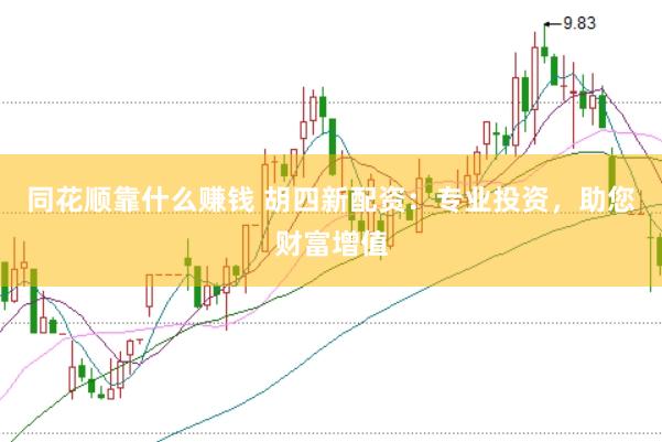 同花顺靠什么赚钱 胡四新配资：专业投资，助您财富增值
