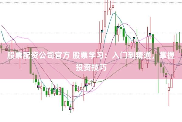股票配资公司官方 股票学习：入门到精通，掌握投资技巧