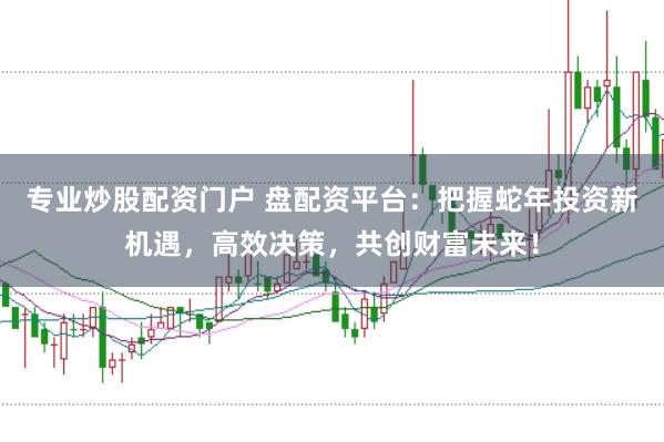 专业炒股配资门户 盘配资平台:把握蛇年投资新机遇,高效决策,共创财富未来!
