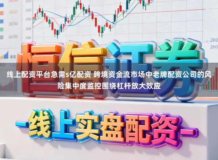 线上配资平台急需s亿配资 跨境资金流市场中老牌配资公司的风险集中度监控围绕杠杆放大效应