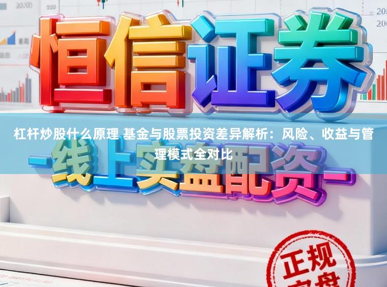 杠杆炒股什么原理 基金与股票投资差异解析：风险、收益与管理模式全对比