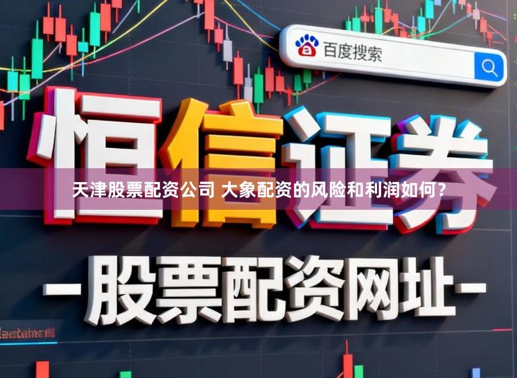天津股票配资公司 大象配资的风险和利润如何？