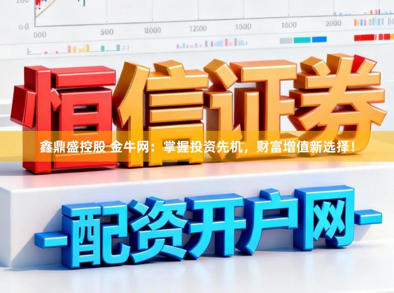 鑫鼎盛控股　 金牛网：掌握投资先机，财富增值新选择！