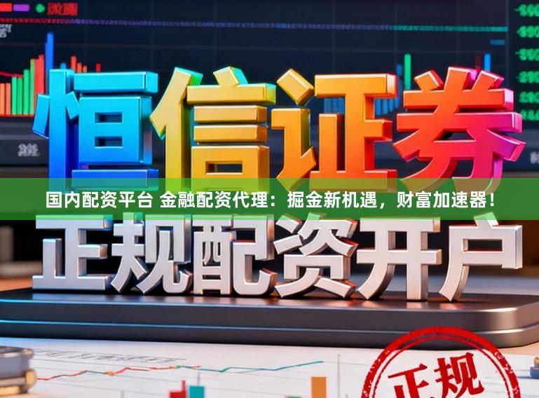 国内配资平台 金融配资代理:掘金新机遇,财富加速器!
